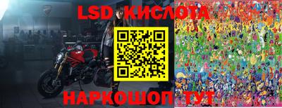 шишки Донской