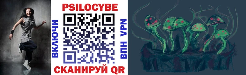 Псилоцибиновые грибы мицелий  где купить наркоту  MEGA tor  Туапсе 