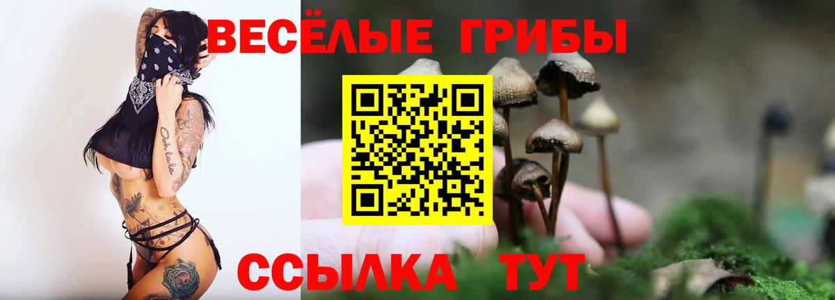 Туапсе  Галлюциногенные грибы Psilocybe  Вход с VPN 